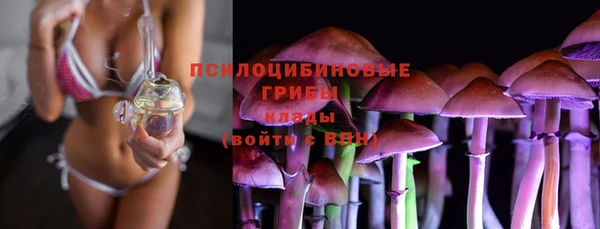 spice Волоколамск