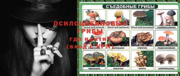 spice Волоколамск