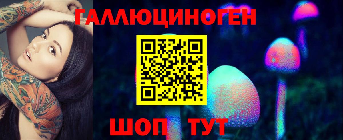 купить наркоту  Вход с VPN  Славянск-на-Кубани  Галлюциногенные грибы GOLDEN TEACHER 
